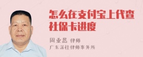 怎么在支付宝上代查社保卡进度