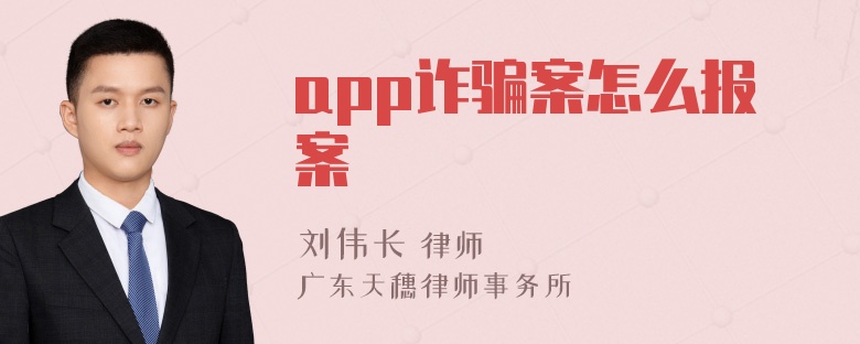 app诈骗案怎么报案