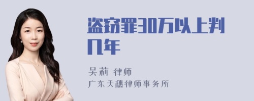 盗窃罪30万以上判几年