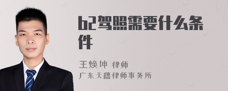 b2驾照需要什么条件