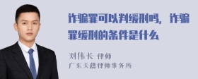 诈骗罪可以判缓刑吗，诈骗罪缓刑的条件是什么