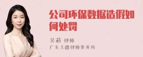 公司环保数据造假如何处罚