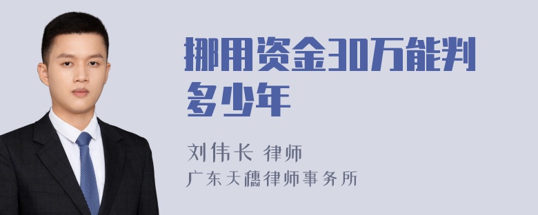 挪用资金30万能判多少年