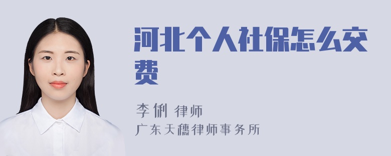 河北个人社保怎么交费