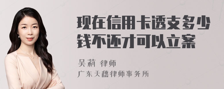 现在信用卡透支多少钱不还才可以立案