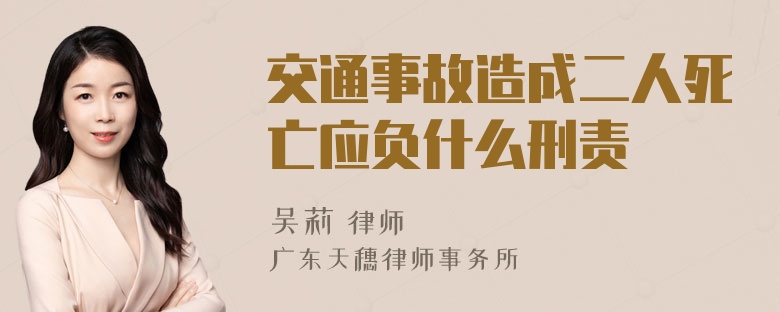 交通事故造成二人死亡应负什么刑责