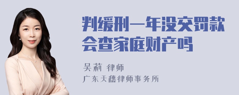 判缓刑一年没交罚款会查家庭财产吗