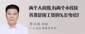 两个人离婚,有两个小孩扶养费是按工资的%多少给?