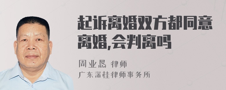 起诉离婚双方都同意离婚,会判离吗