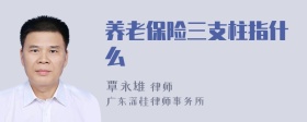 养老保险三支柱指什么