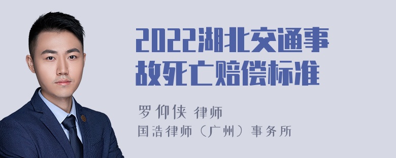 2022湖北交通事故死亡赔偿标准