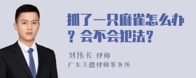 抓了一只麻雀怎么办？会不会犯法？