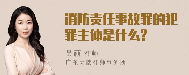 消防责任事故罪的犯罪主体是什么?