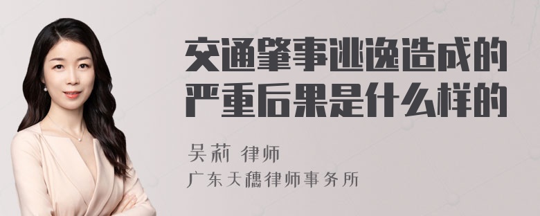 交通肇事逃逸造成的严重后果是什么样的