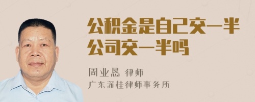 公积金是自己交一半公司交一半吗