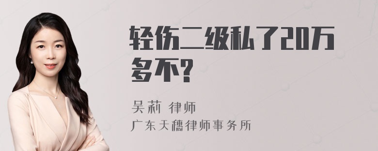 轻伤二级私了20万多不?