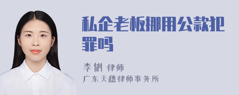 私企老板挪用公款犯罪吗