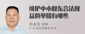 维护中小股东合法权益的举措有哪些