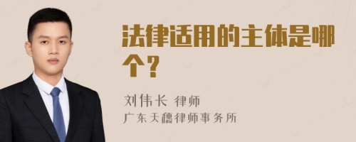 法律适用的主体是哪个？