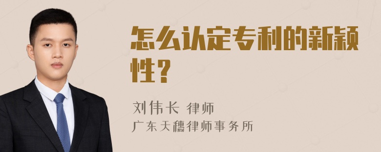 怎么认定专利的新颖性？