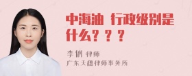 中海油 行政级别是什么？？？