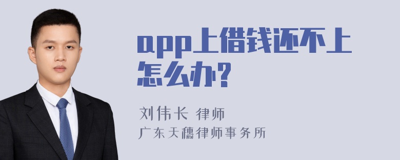 app上借钱还不上怎么办?