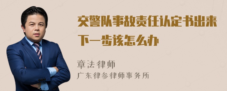 交警队事故责任认定书出来下一步该怎么办