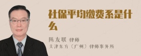 社保平均缴费系是什么