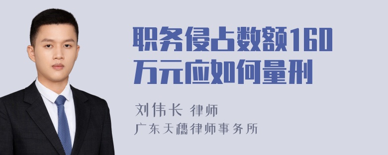 职务侵占数额160万元应如何量刑