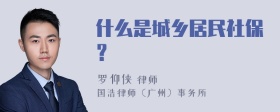 什么是城乡居民社保？