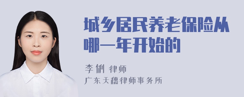 城乡居民养老保险从哪一年开始的