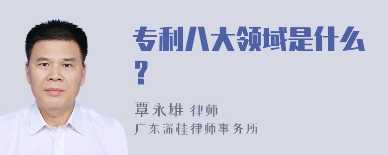 专利八大领域是什么？