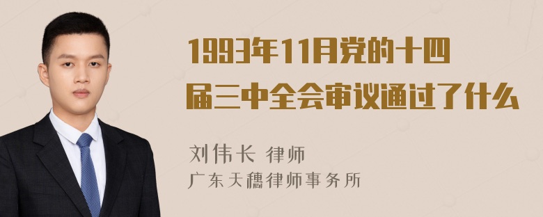 1993年11月党的十四届三中全会审议通过了什么