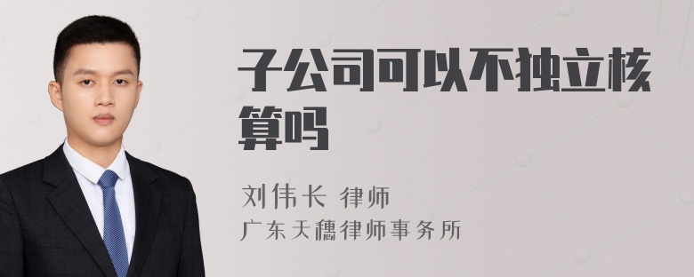 子公司可以不独立核算吗