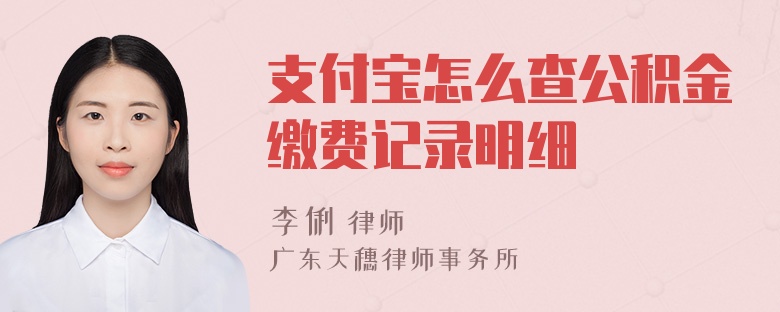 支付宝怎么查公积金缴费记录明细