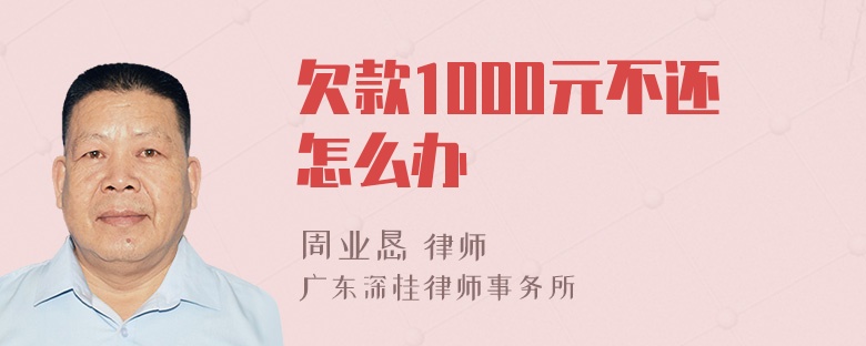 欠款1000元不还怎么办