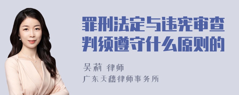 罪刑法定与违宪审查判须遵守什么原则的