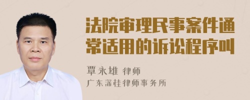 法院审理民事案件通常适用的诉讼程序叫