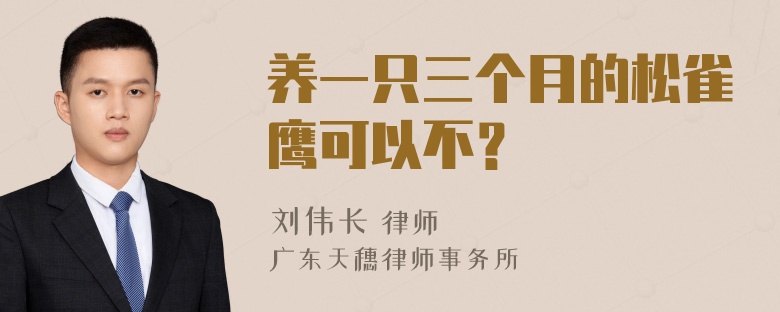 养一只三个月的松雀鹰可以不？