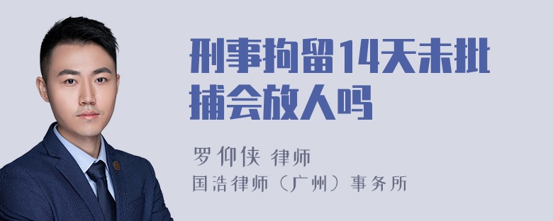 刑事拘留14天未批捕会放人吗