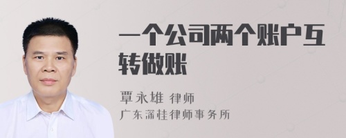 一个公司两个账户互转做账