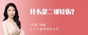 什么是二级轻伤?