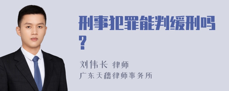 刑事犯罪能判缓刑吗?