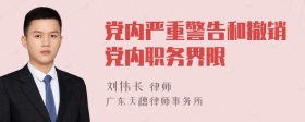 党内严重警告和撤销党内职务界限