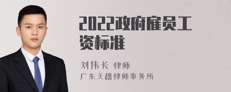 2022政府雇员工资标准
