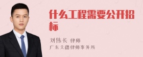 什么工程需要公开招标