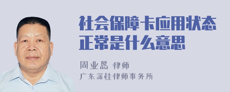 社会保障卡应用状态正常是什么意思