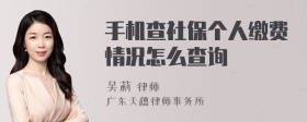 手机查社保个人缴费情况怎么查询