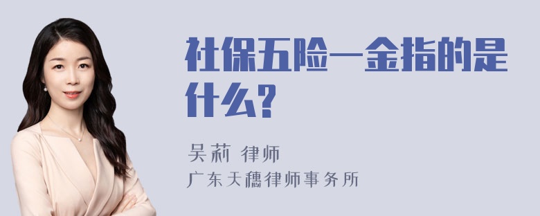 社保五险一金指的是什么?