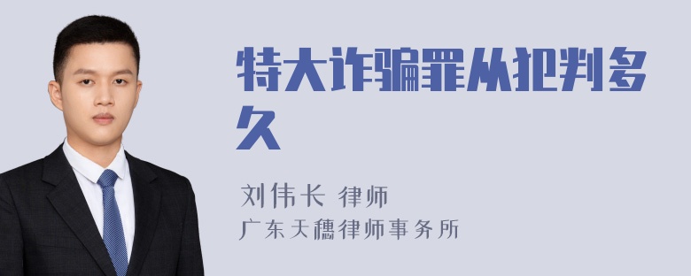 特大诈骗罪从犯判多久